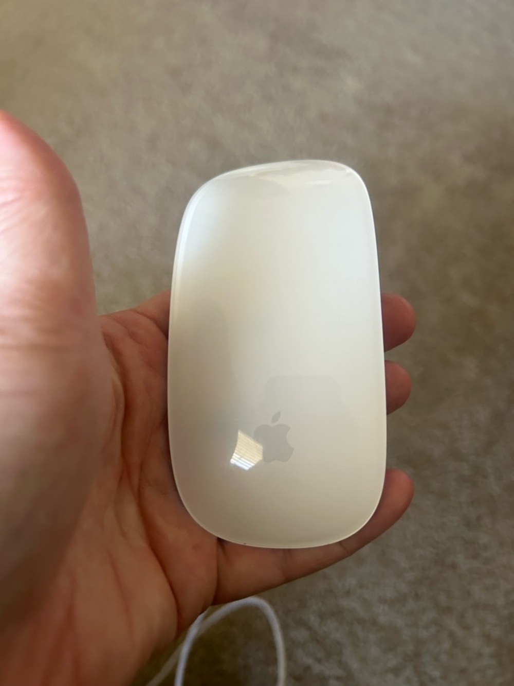 Apple Magic Mouse in Silver with Black Accents